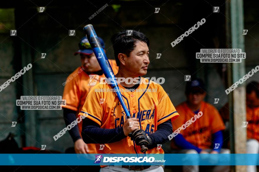 XXXII Brasileirão de Softbol