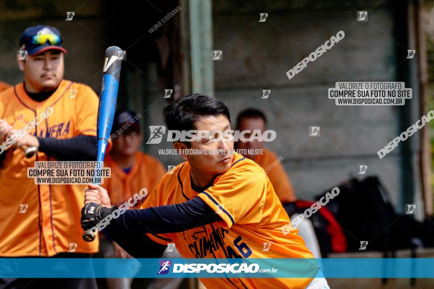 XXXII Brasileirão de Softbol