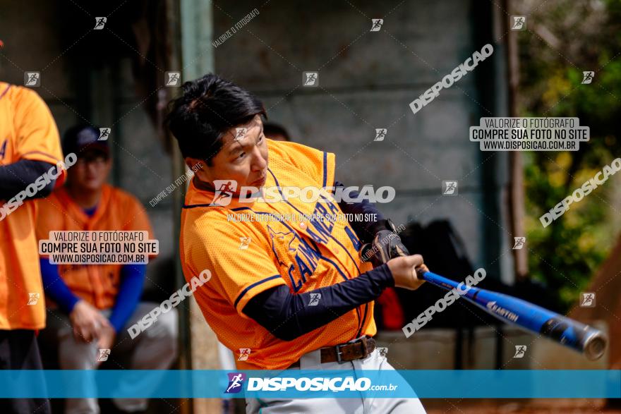 XXXII Brasileirão de Softbol