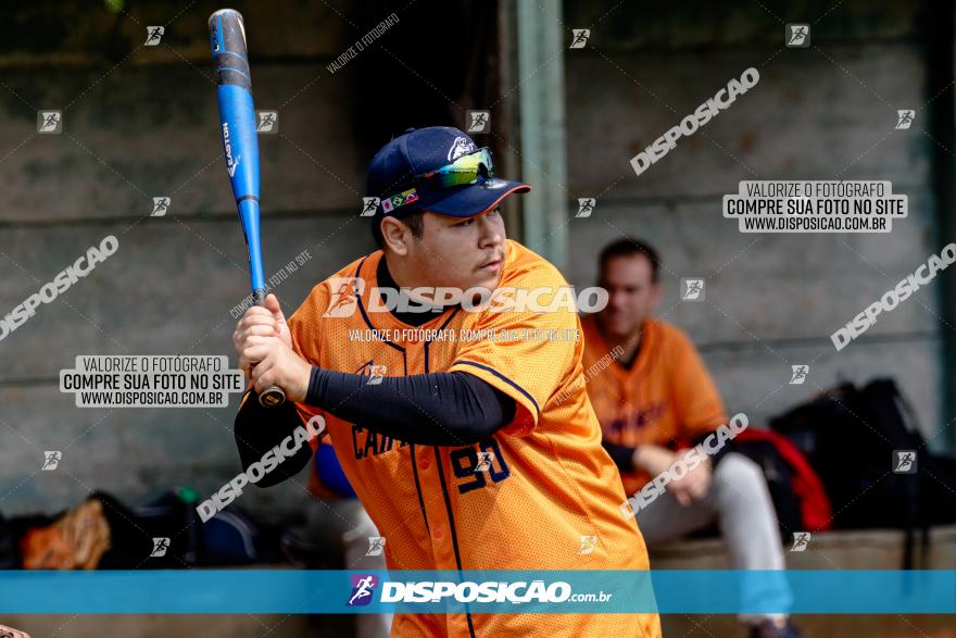 XXXII Brasileirão de Softbol