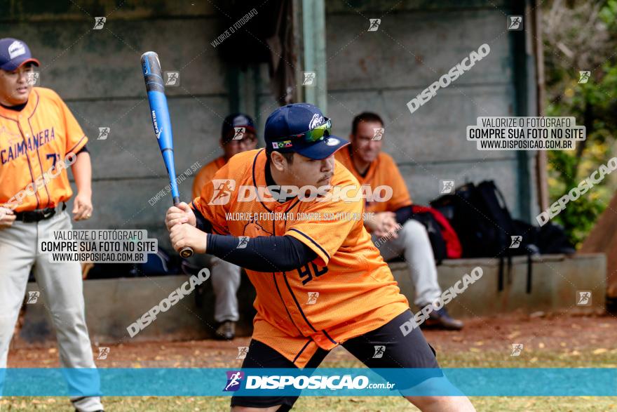 XXXII Brasileirão de Softbol