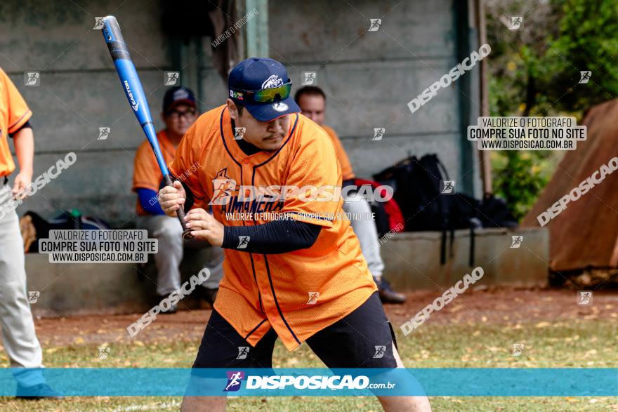 XXXII Brasileirão de Softbol