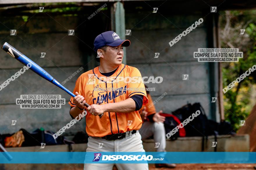 XXXII Brasileirão de Softbol