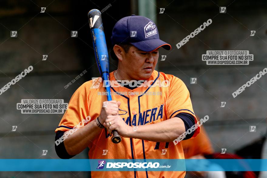 XXXII Brasileirão de Softbol