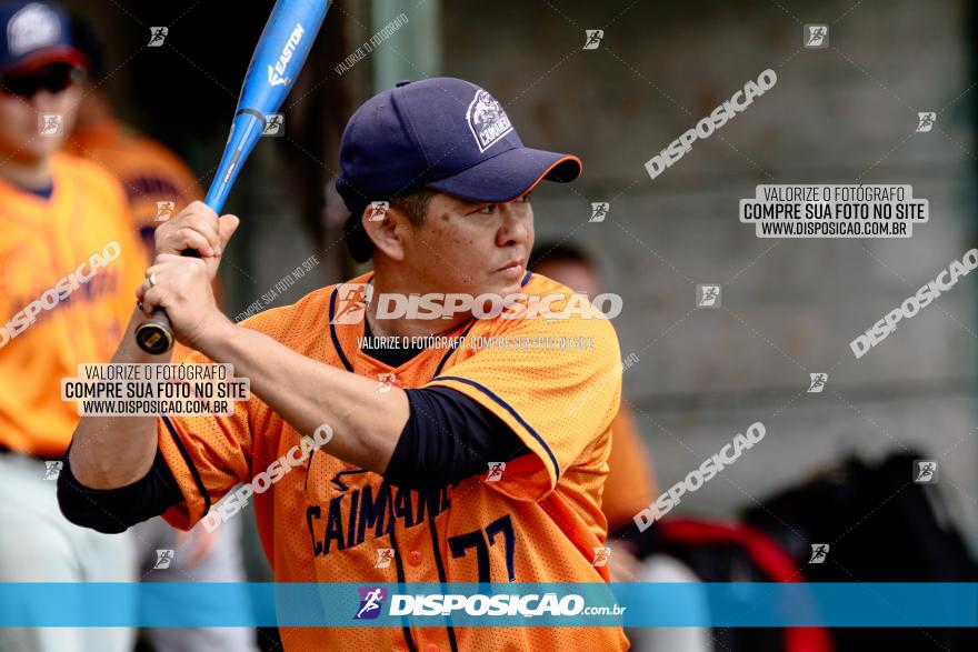 XXXII Brasileirão de Softbol