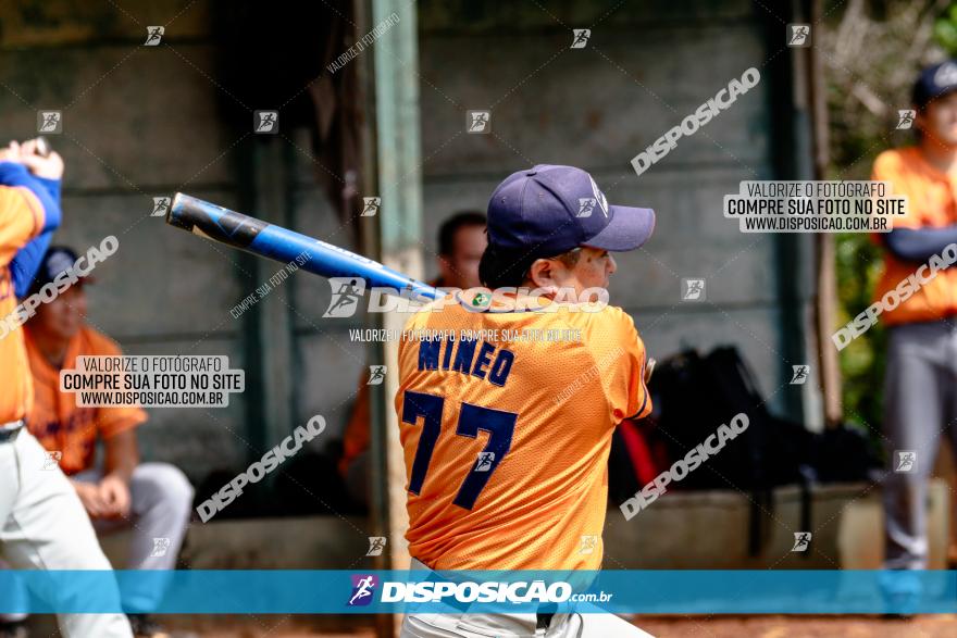 XXXII Brasileirão de Softbol