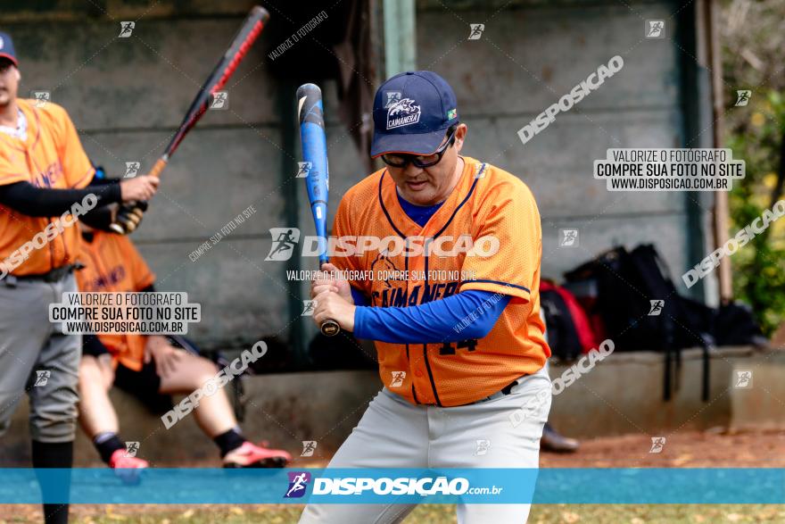 XXXII Brasileirão de Softbol