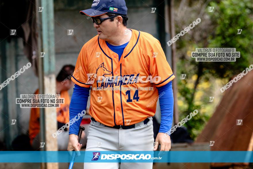 XXXII Brasileirão de Softbol