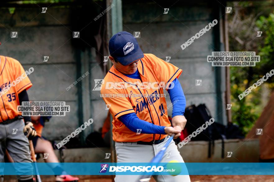 XXXII Brasileirão de Softbol