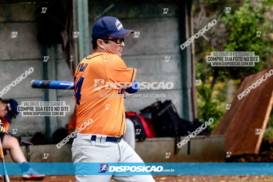 XXXII Brasileirão de Softbol