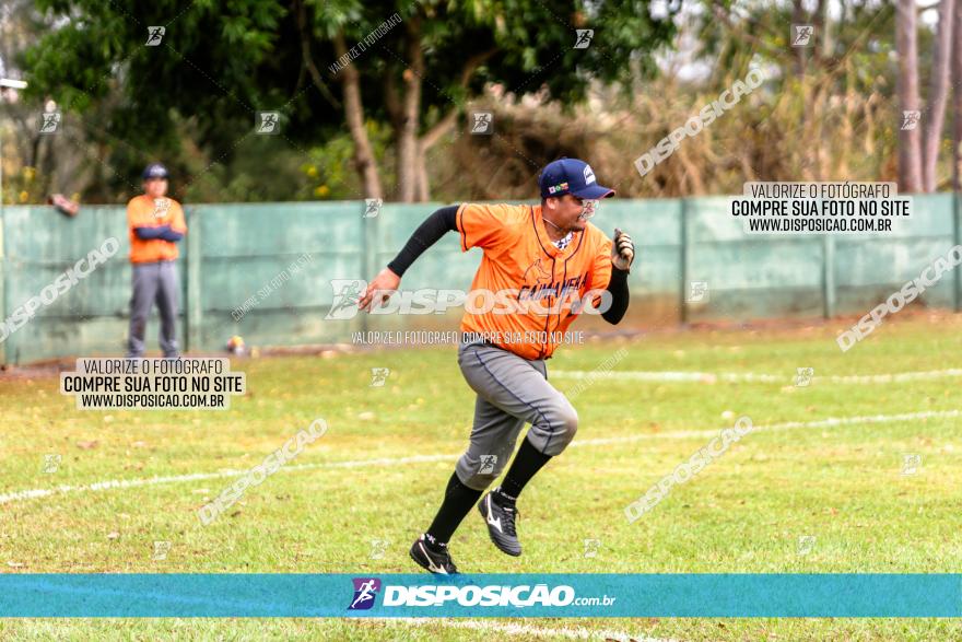 XXXII Brasileirão de Softbol