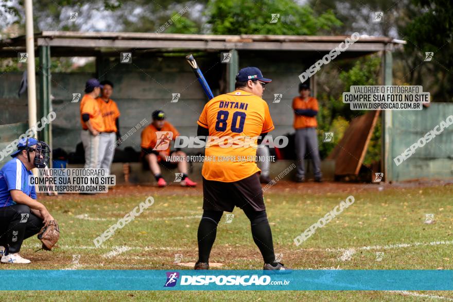 XXXII Brasileirão de Softbol