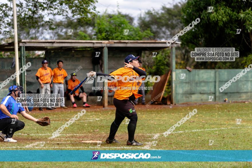 XXXII Brasileirão de Softbol