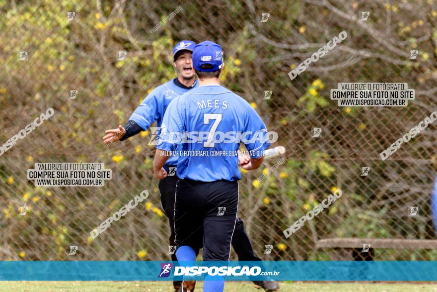 XXXII Brasileirão de Softbol