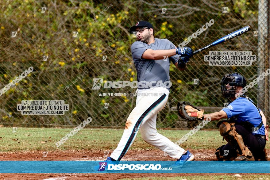 XXXII Brasileirão de Softbol