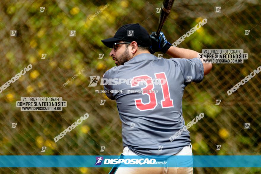 XXXII Brasileirão de Softbol