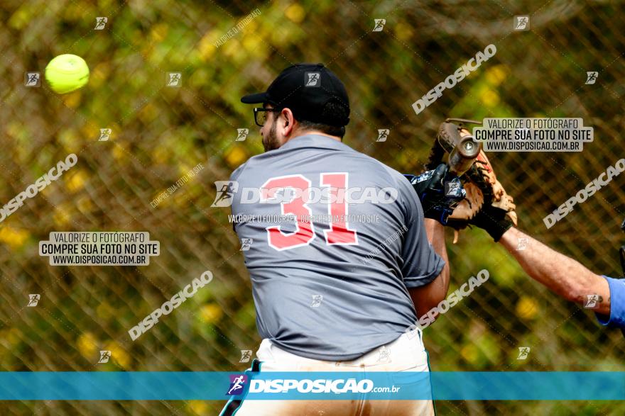 XXXII Brasileirão de Softbol