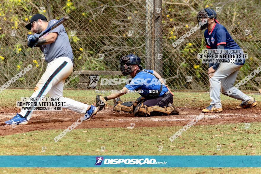 XXXII Brasileirão de Softbol