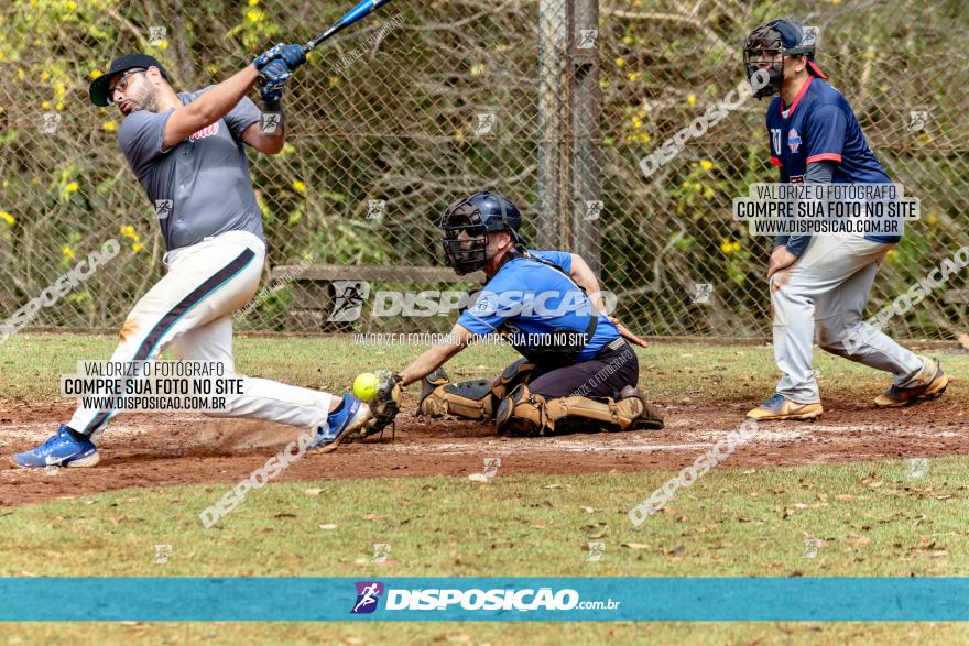 XXXII Brasileirão de Softbol