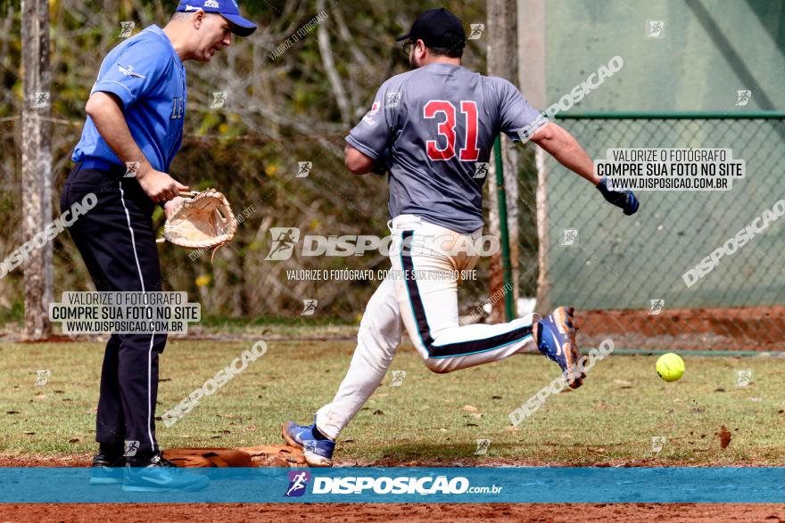 XXXII Brasileirão de Softbol