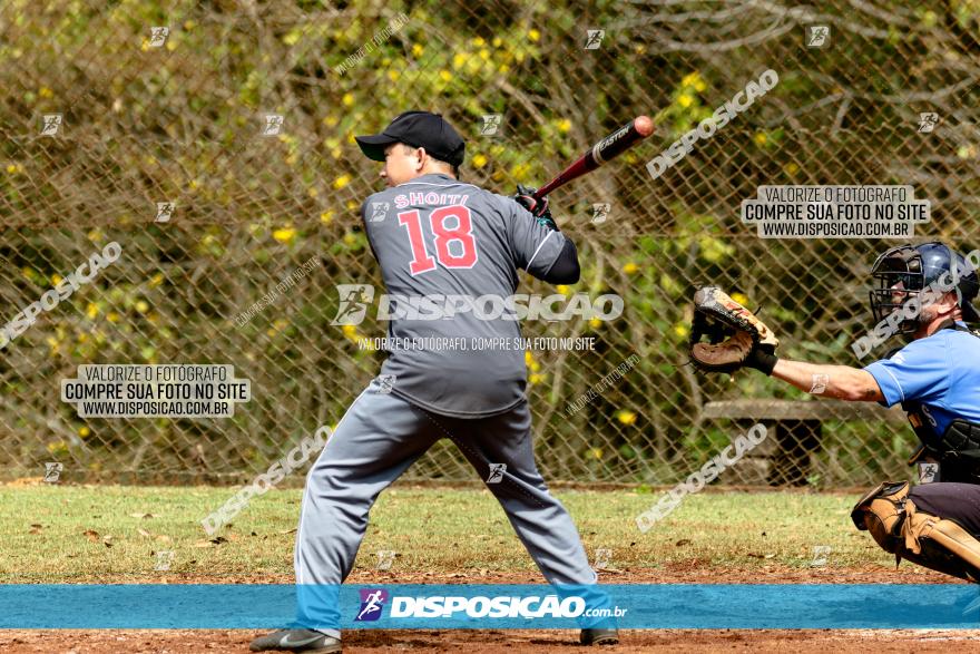 XXXII Brasileirão de Softbol