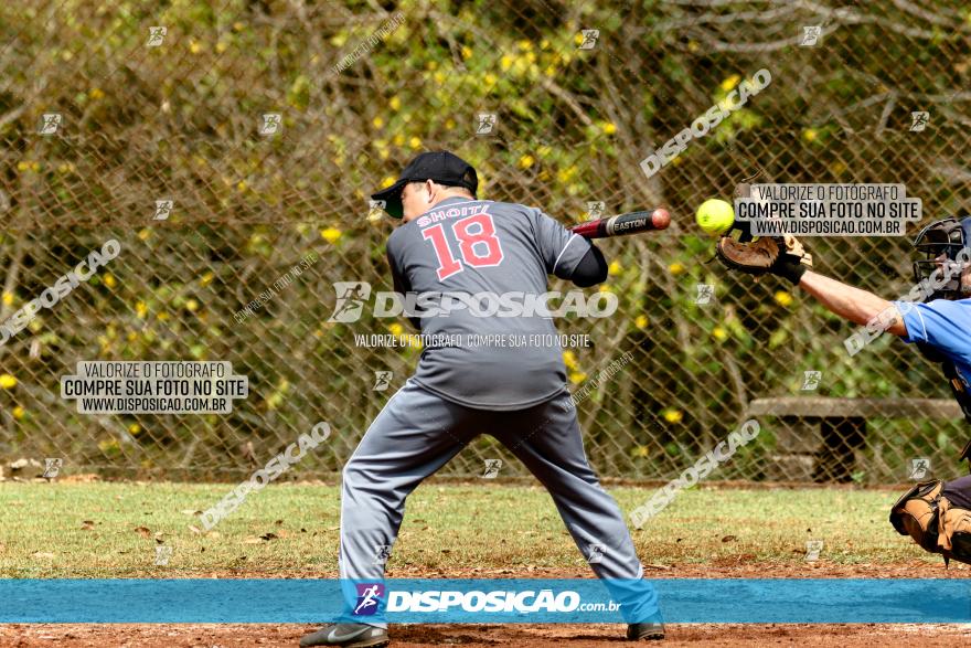 XXXII Brasileirão de Softbol