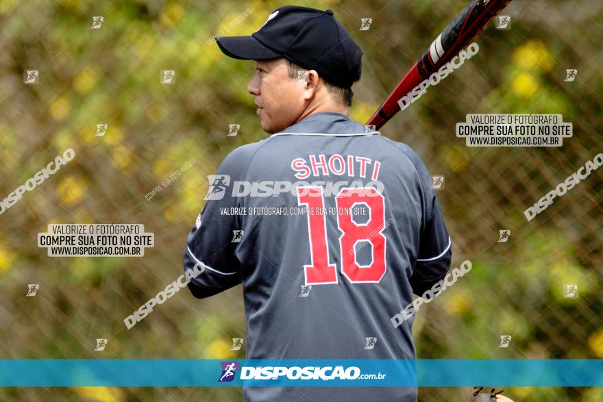 XXXII Brasileirão de Softbol