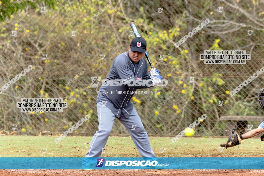 XXXII Brasileirão de Softbol