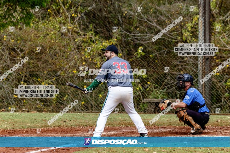 XXXII Brasileirão de Softbol