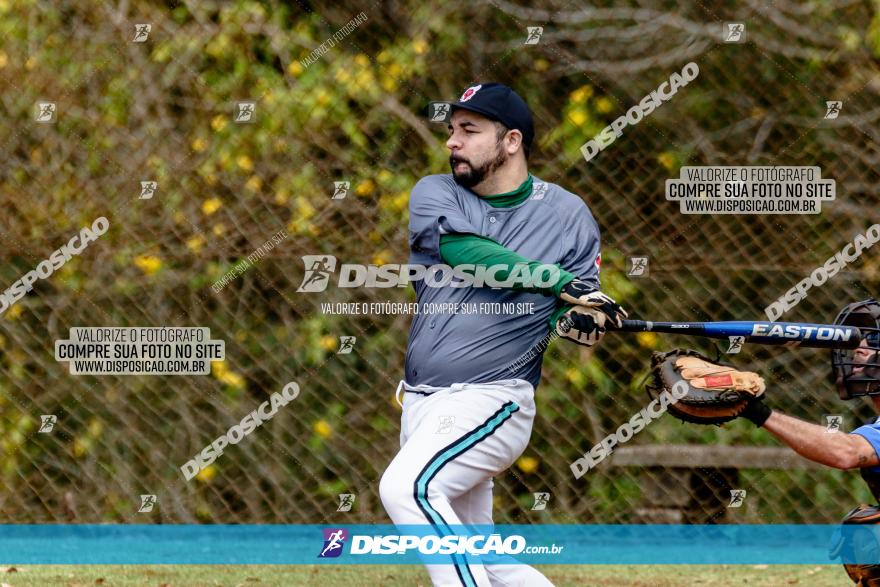 XXXII Brasileirão de Softbol