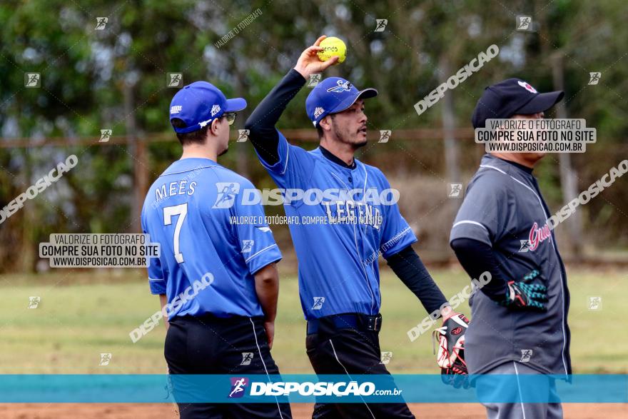 XXXII Brasileirão de Softbol