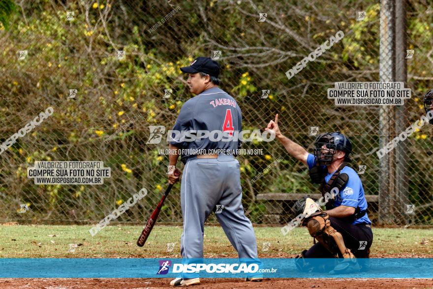 XXXII Brasileirão de Softbol