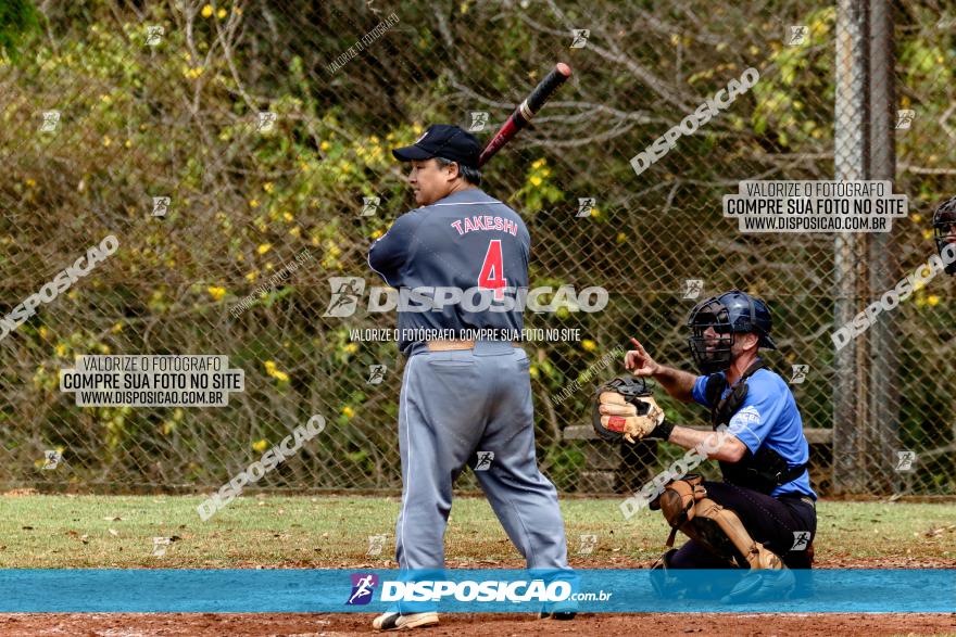 XXXII Brasileirão de Softbol