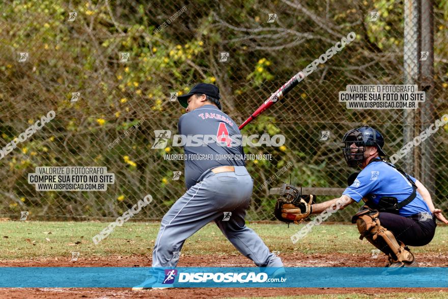 XXXII Brasileirão de Softbol