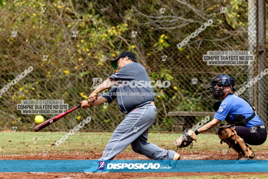 XXXII Brasileirão de Softbol