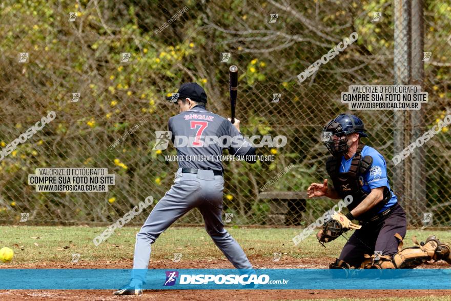 XXXII Brasileirão de Softbol