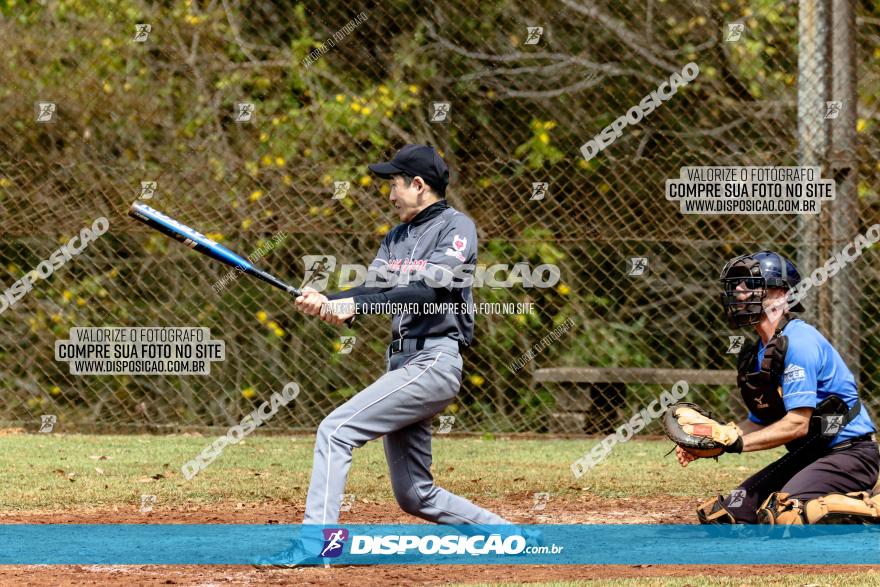 XXXII Brasileirão de Softbol