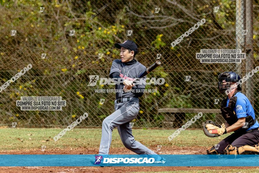 XXXII Brasileirão de Softbol