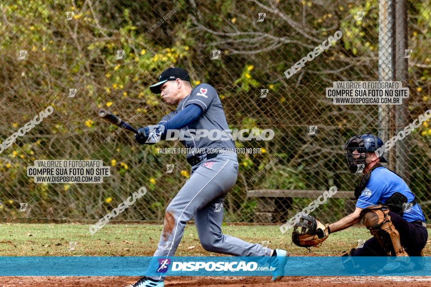 XXXII Brasileirão de Softbol