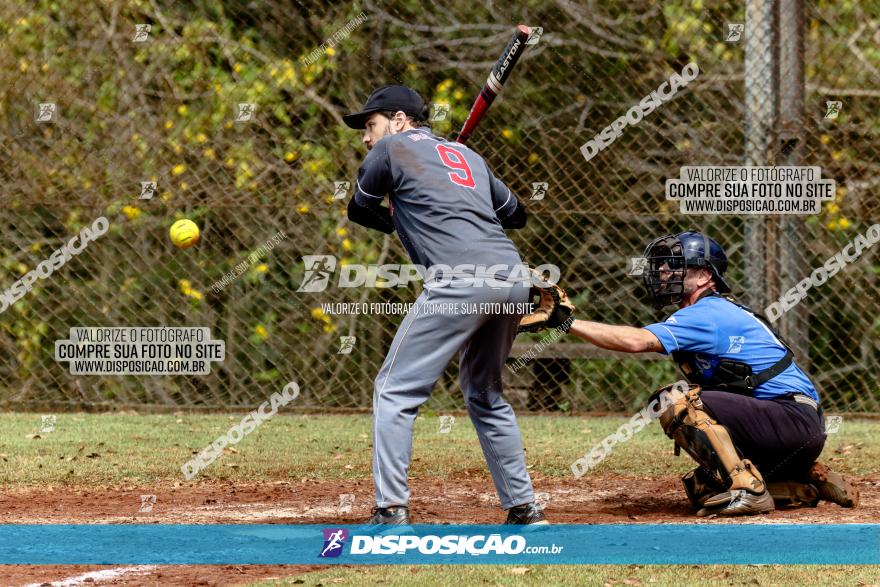 XXXII Brasileirão de Softbol