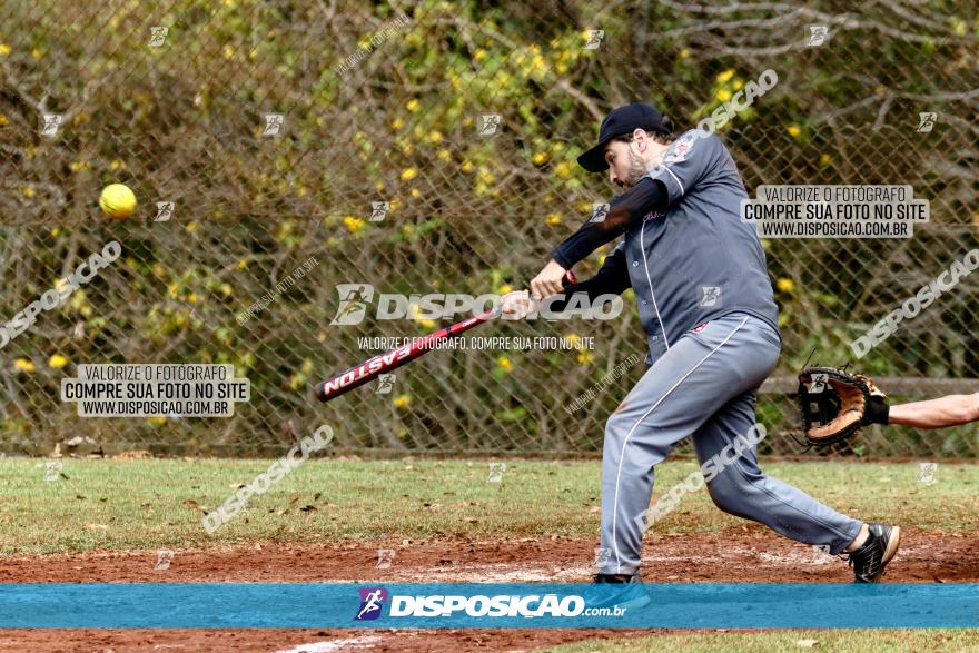 XXXII Brasileirão de Softbol