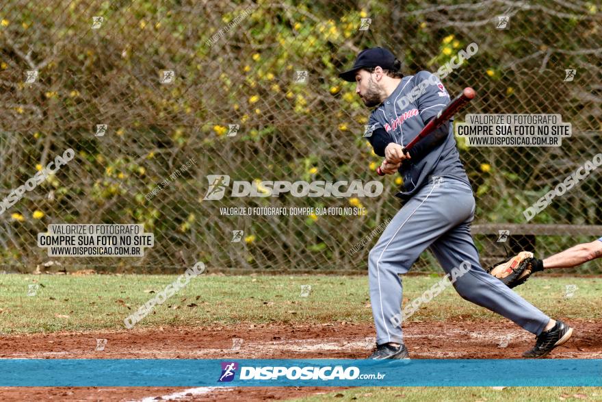 XXXII Brasileirão de Softbol