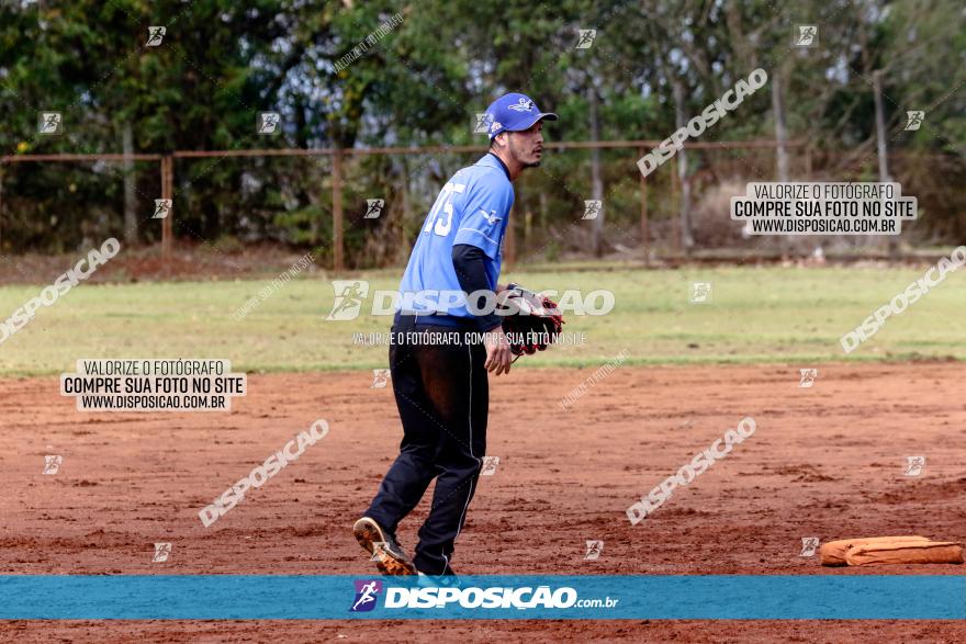 XXXII Brasileirão de Softbol