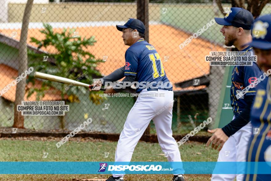 XXXII Brasileirão de Softbol