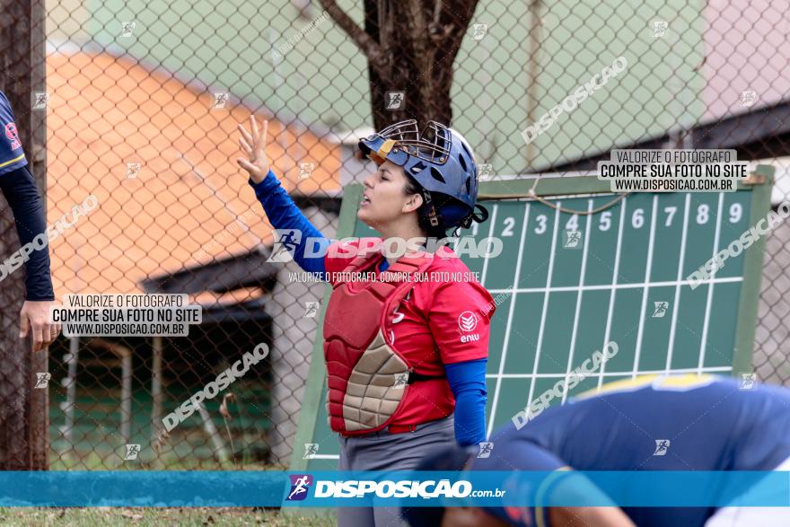 XXXII Brasileirão de Softbol