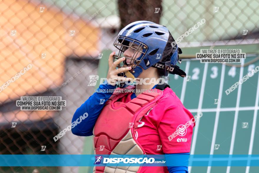 XXXII Brasileirão de Softbol