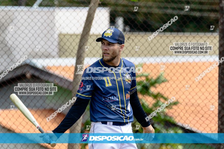 XXXII Brasileirão de Softbol