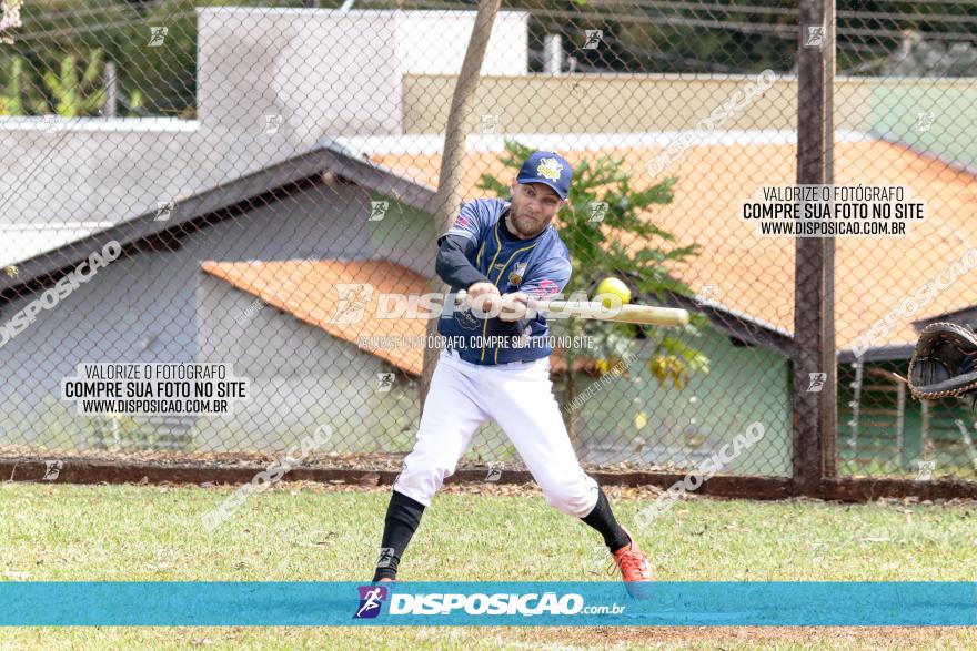 XXXII Brasileirão de Softbol