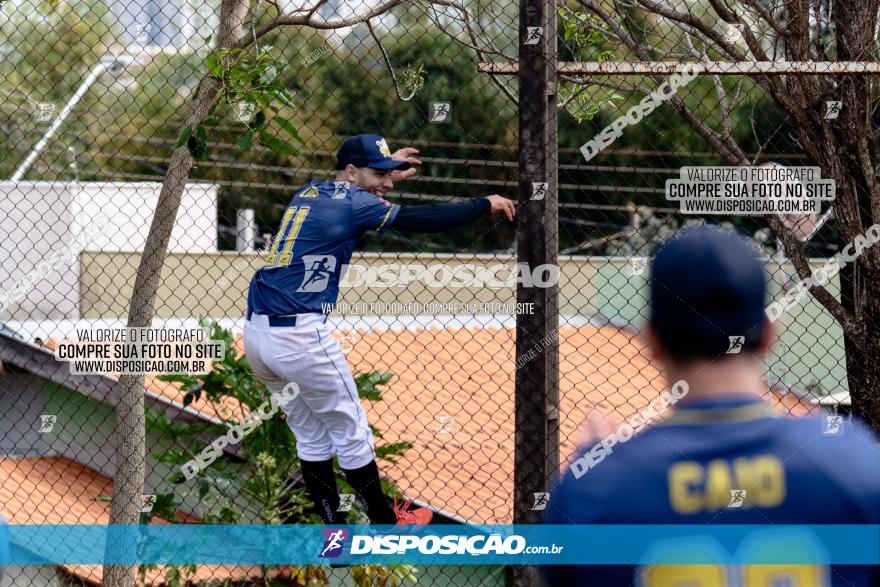 XXXII Brasileirão de Softbol