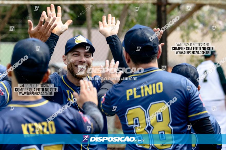 XXXII Brasileirão de Softbol